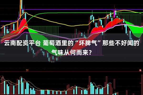 云南配资平台 葡萄酒里的“坏脾气”那些不好闻的气味从何而来？