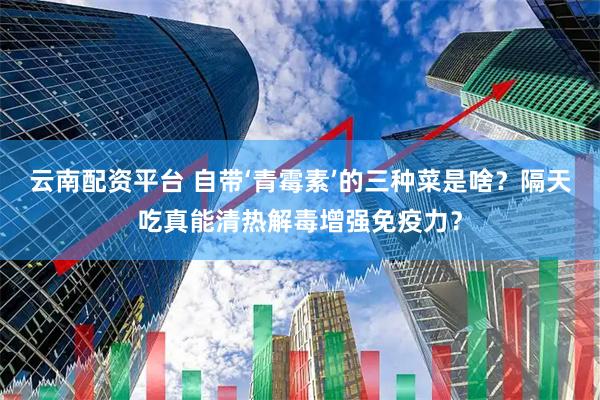 云南配资平台 自带‘青霉素’的三种菜是啥？隔天吃真能清热解毒增强免疫力？