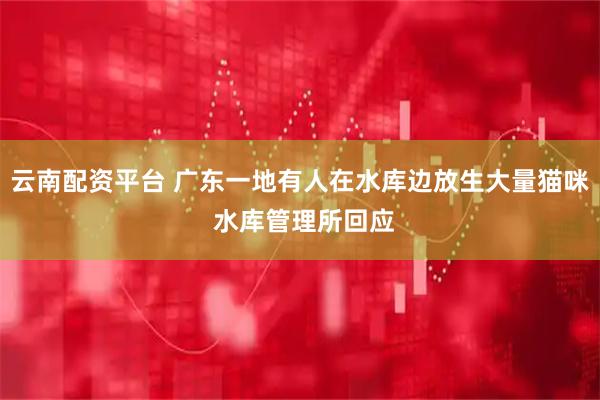 云南配资平台 广东一地有人在水库边放生大量猫咪 水库管理所回应