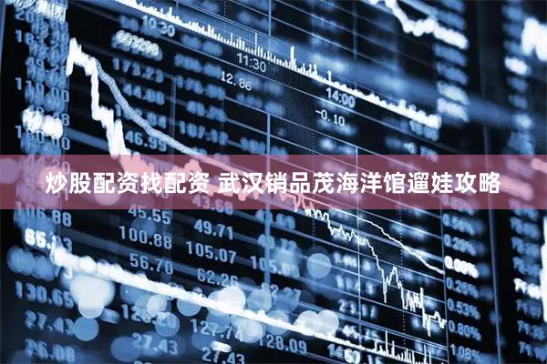炒股配资找配资 武汉销品茂海洋馆遛娃攻略