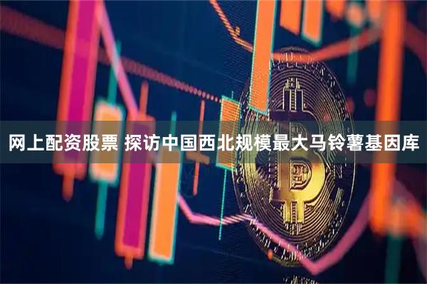 网上配资股票 探访中国西北规模最大马铃薯基因库
