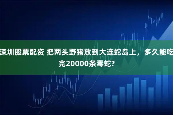 深圳股票配资 把两头野猪放到大连蛇岛上，多久能吃完20000条毒蛇?