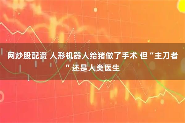 网炒股配资 人形机器人给猪做了手术 但“主刀者”还是人类医生